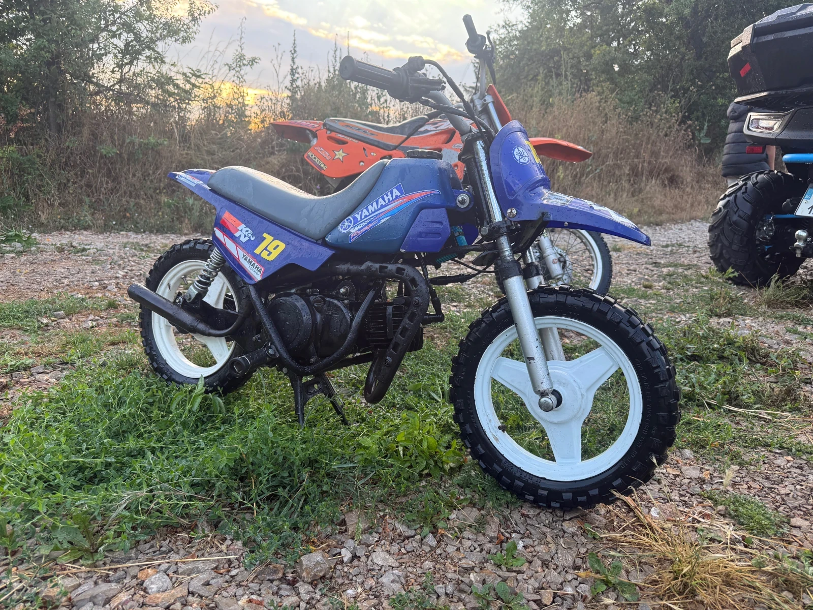 Yamaha PW