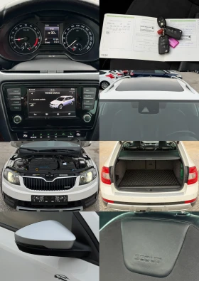 Skoda Octavia SCOUT 2.0TDi 184кс * Дистроник* * Панорама* * DSG* - 11499 € / 22490.09 лв. - 35984031 17