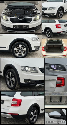 Skoda Octavia SCOUT 2.0TDi 184кс * Дистроник* * Панорама* * DSG* - 11499 € / 22490.09 лв. - 35984031 9