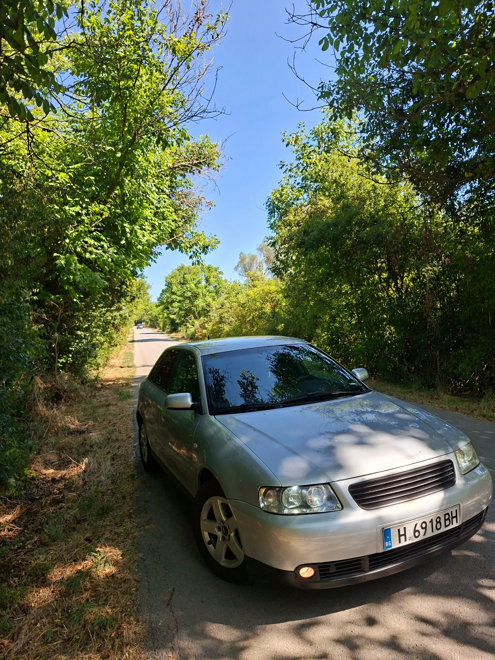 Audi A3 8L - изображение 9