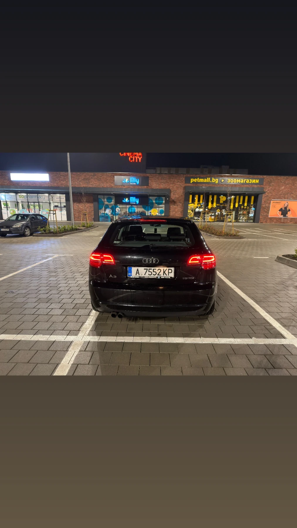 Audi A3 1.9 TDI, снимка 4 - Автомобили и джипове - 53969771