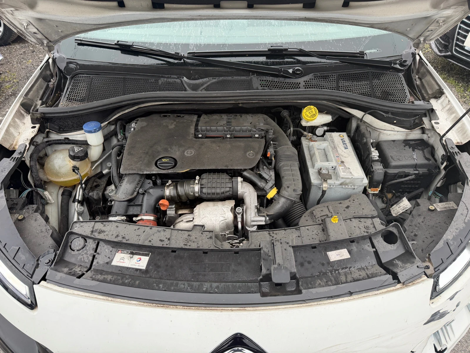 Citroen C4 Cactus 1.6HDI EURO6B | Mobile.bg � ����������� 15