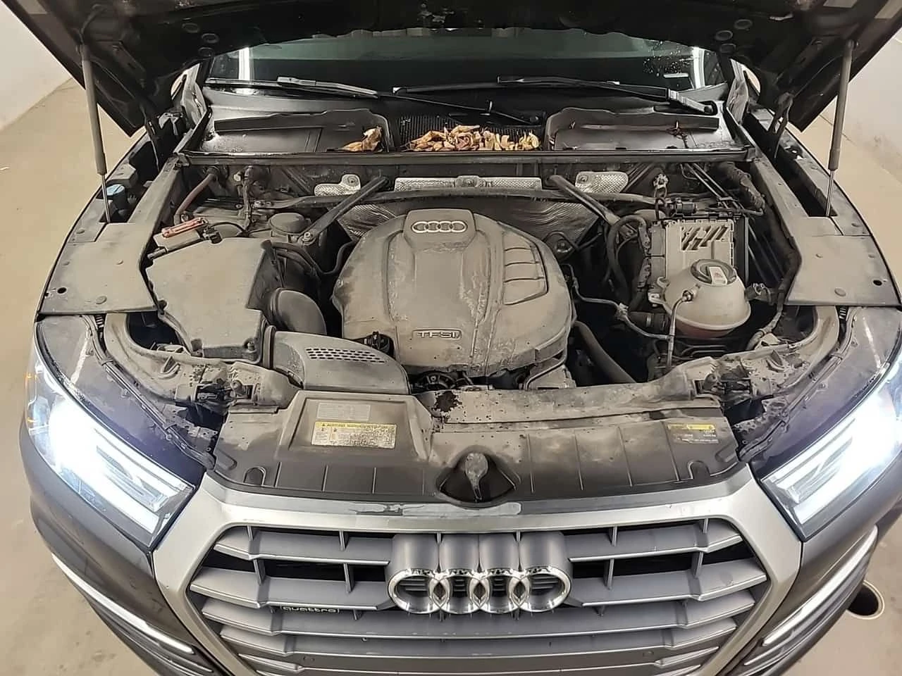 Audi Q5  CARFAX /CAMERA/ ПОДГРЕВИ, снимка 15 - Автомобили и джипове - 53820257