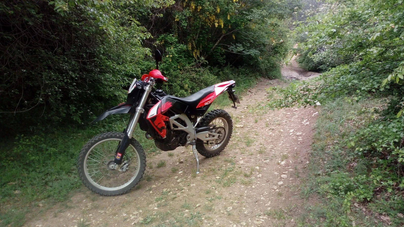 Aprilia RXV 450 - изображение 3