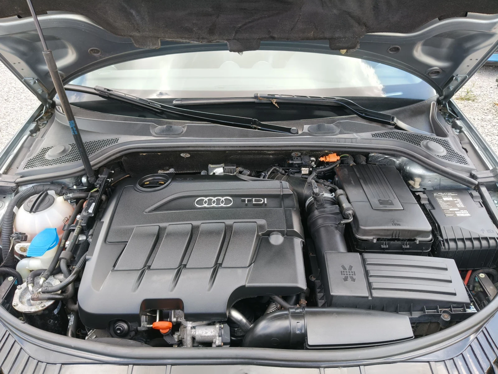 Audi A3 2.0TDI Quattro, снимка 16 - Автомобили и джипове - 55417367