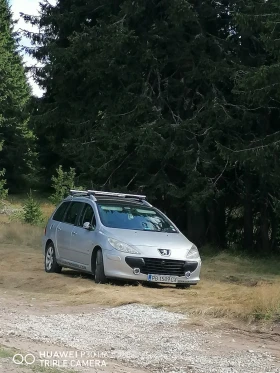 Peugeot 307 307SW, снимка 3