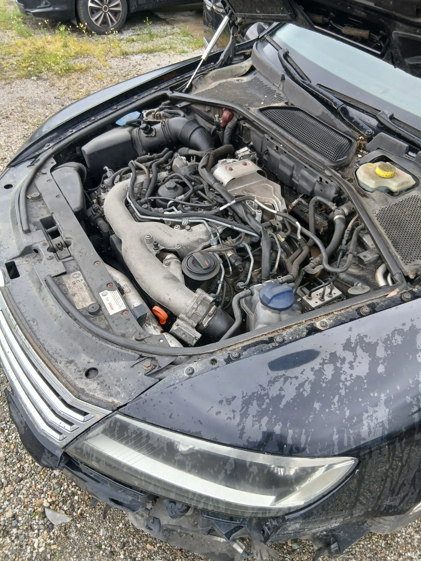 VW Phaeton 3.0tdi, снимка 7 - Автомобили и джипове - 54713352