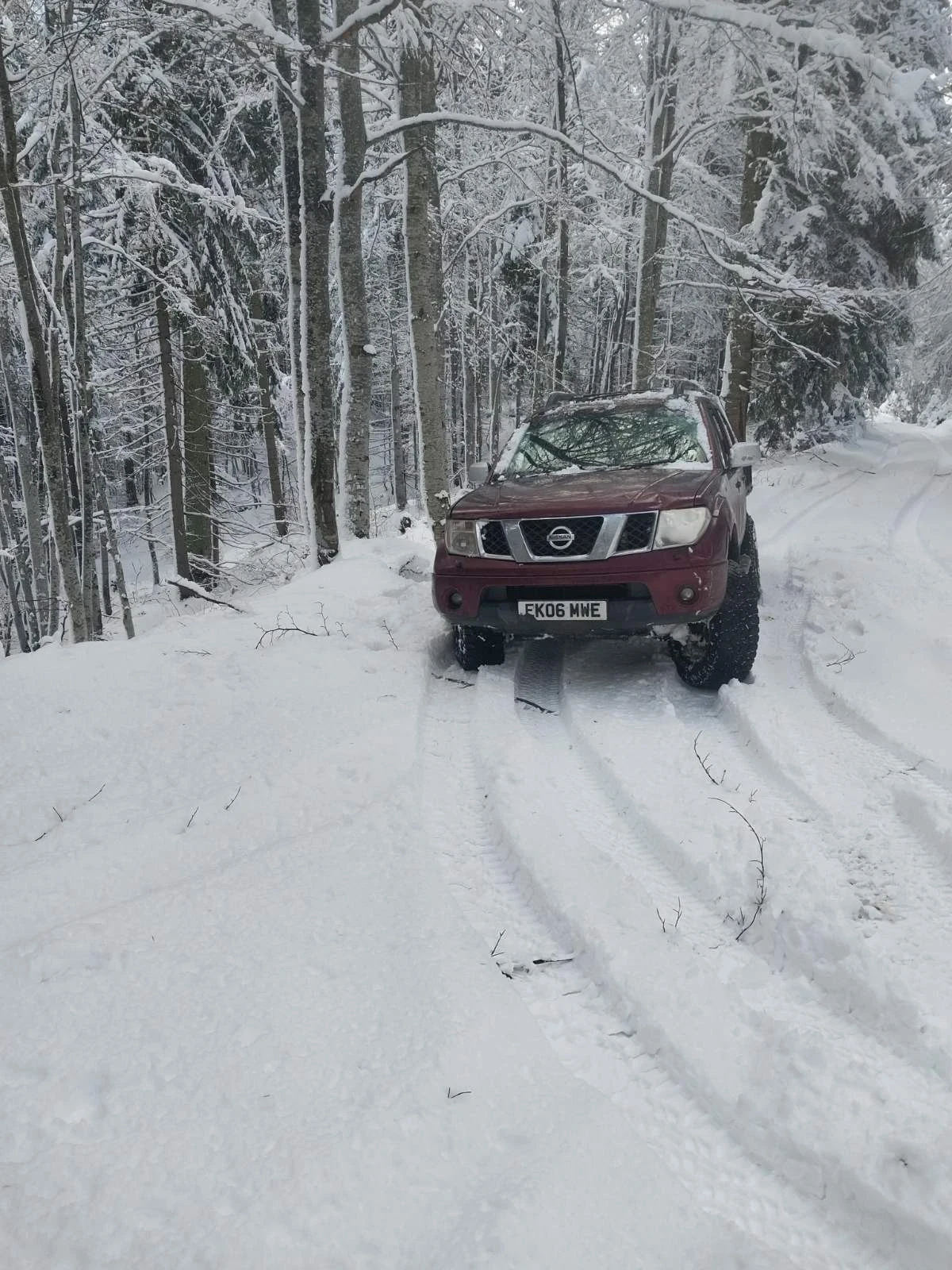 Nissan Navara, снимка 2 - Автомобили и джипове - 55051406