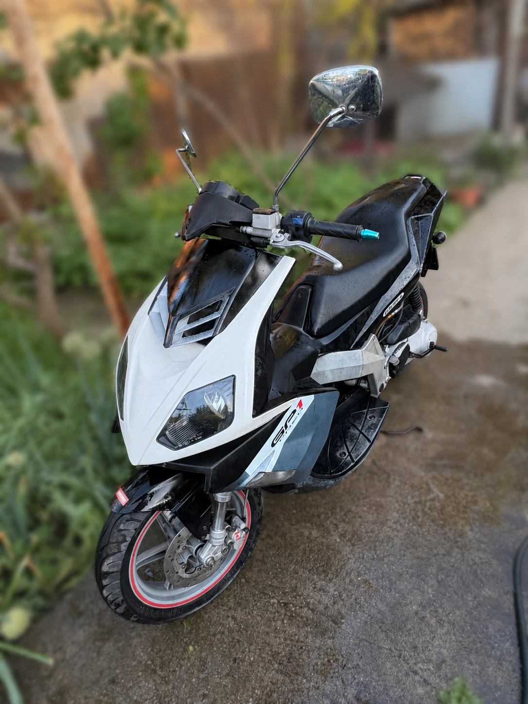 Derbi Gp-1