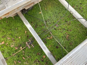 За автомобил Други БМД - Омега - Двойна, снимка 5 - Ремаркета - 52866531