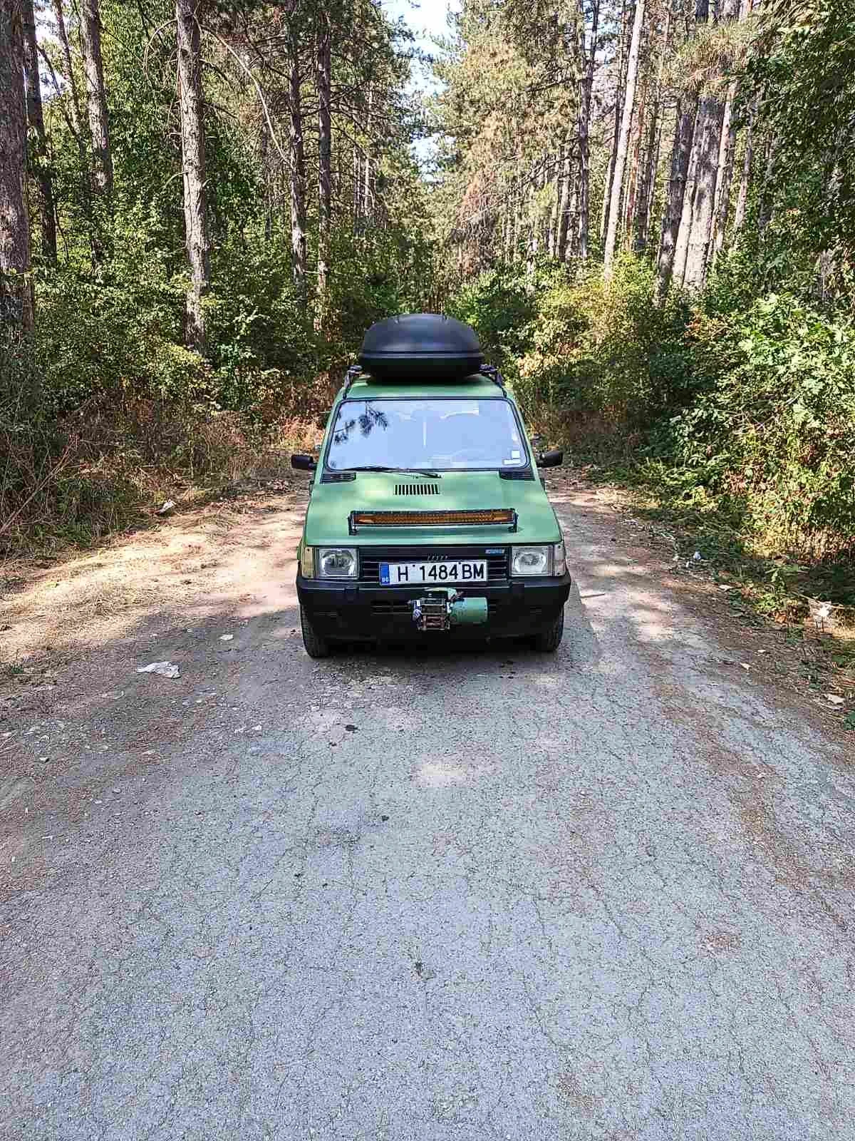 Fiat Panda 4х4, снимка 1