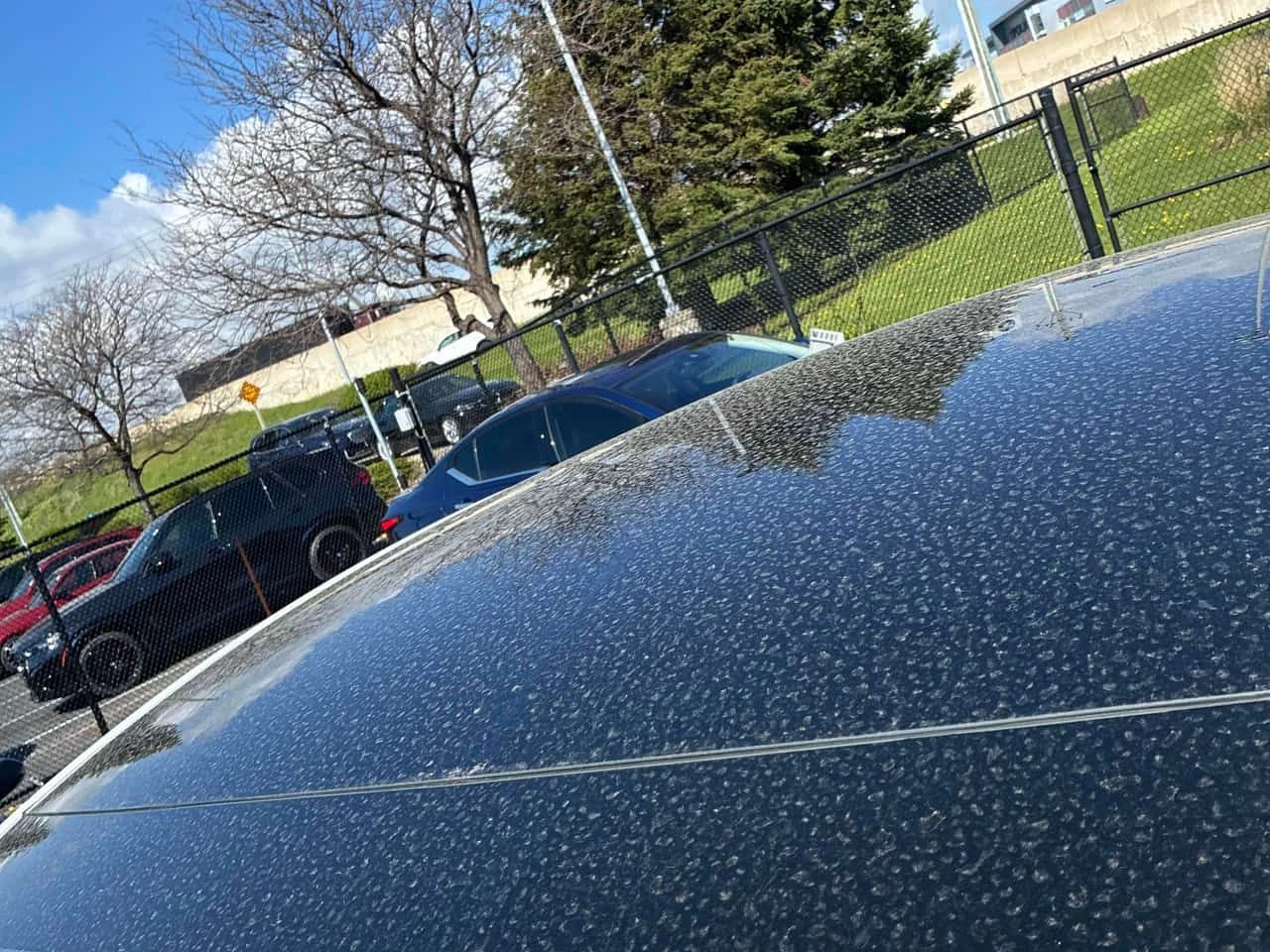 Tesla Model Y Long Range/FULL SELF DRIVING/360/ПАНОРАМА, снимка 11 - Автомобили и джипове - 54508945