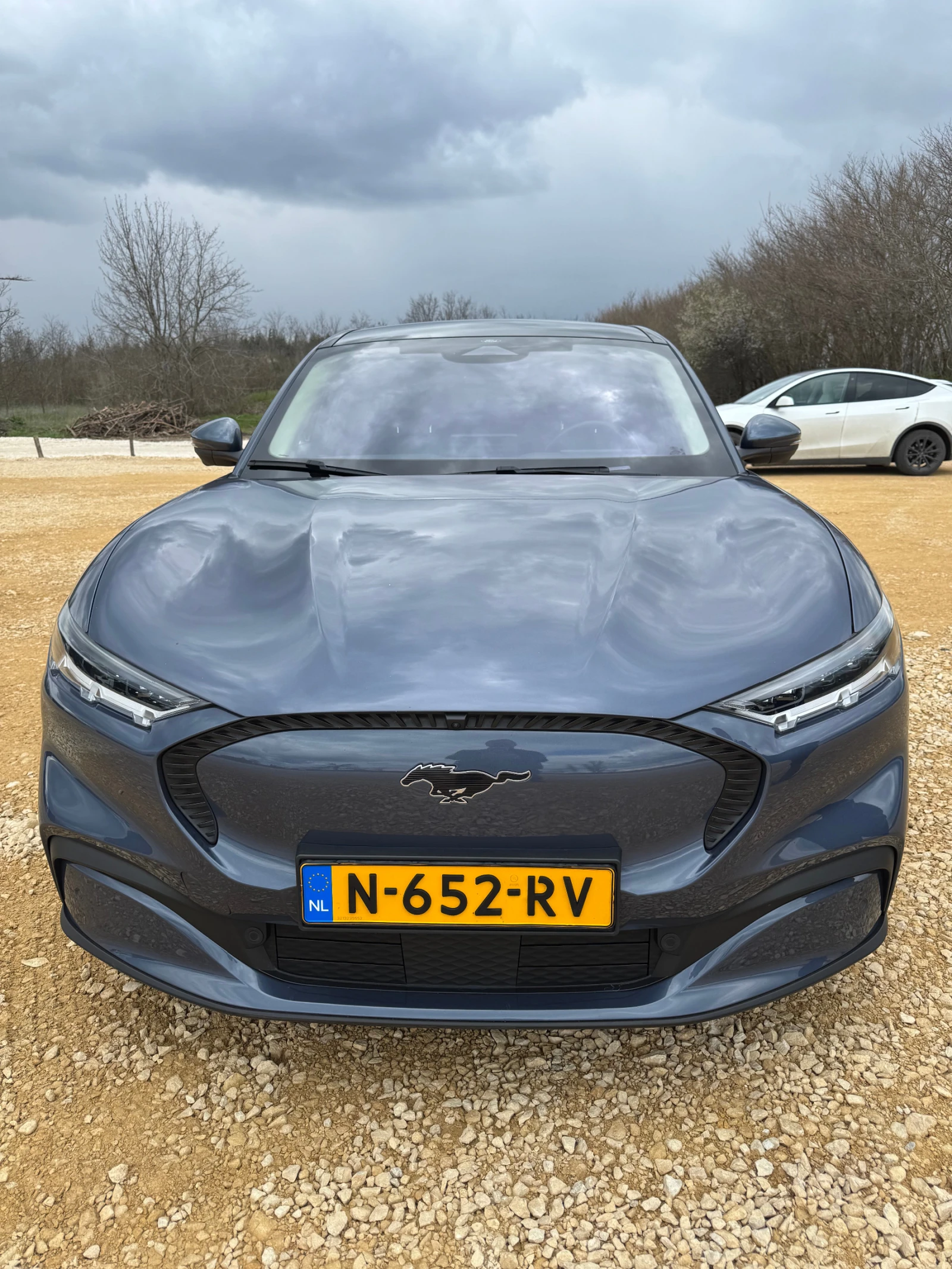 Ford Mustang Mach-E Premium 99 kWh, снимка 2 - Автомобили и джипове - 54159156