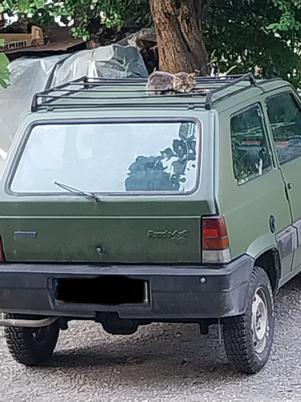 Fiat Panda  - изображение 4