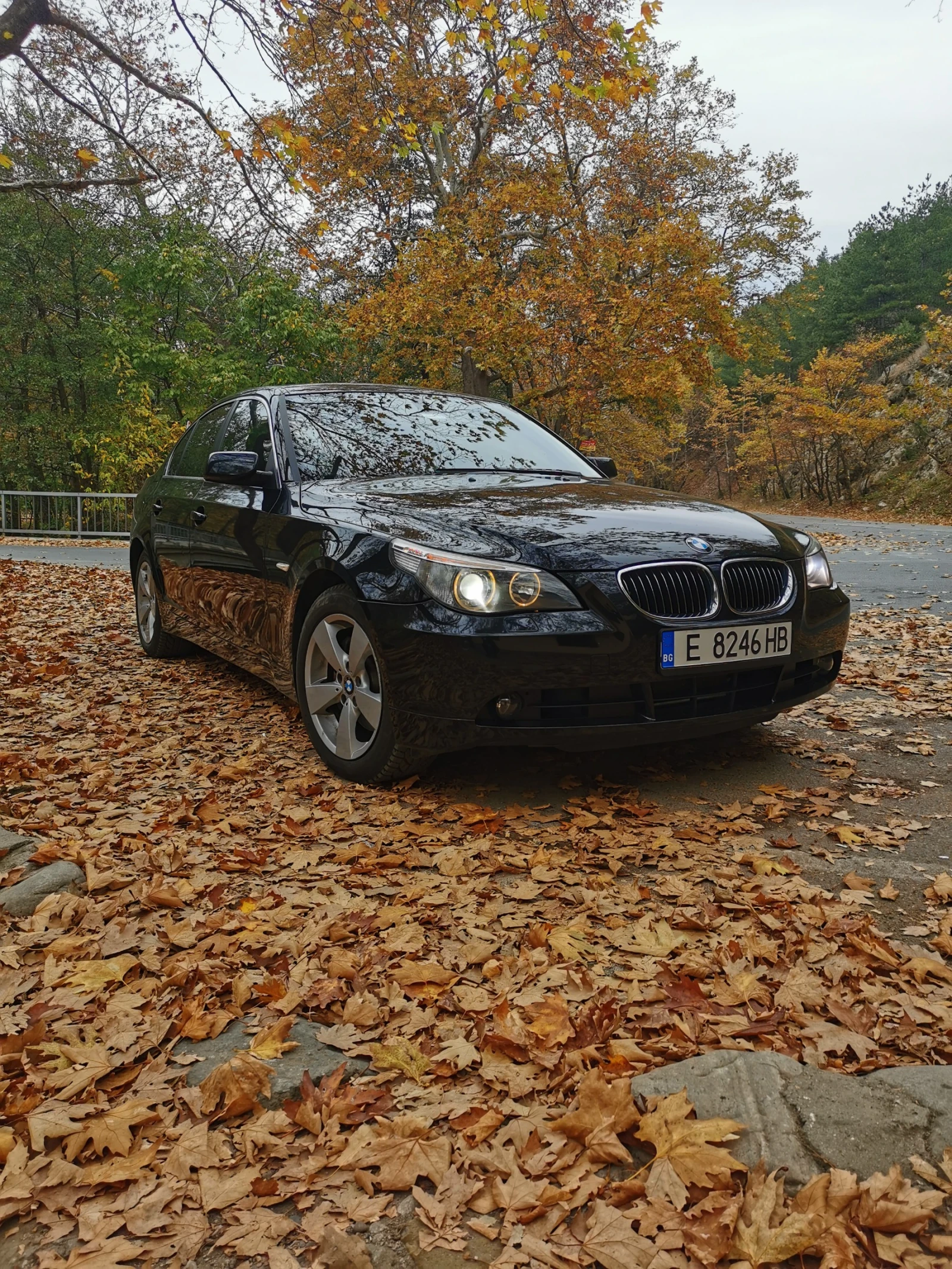BMW 525 xi | Mobile.bg � ����������� 5