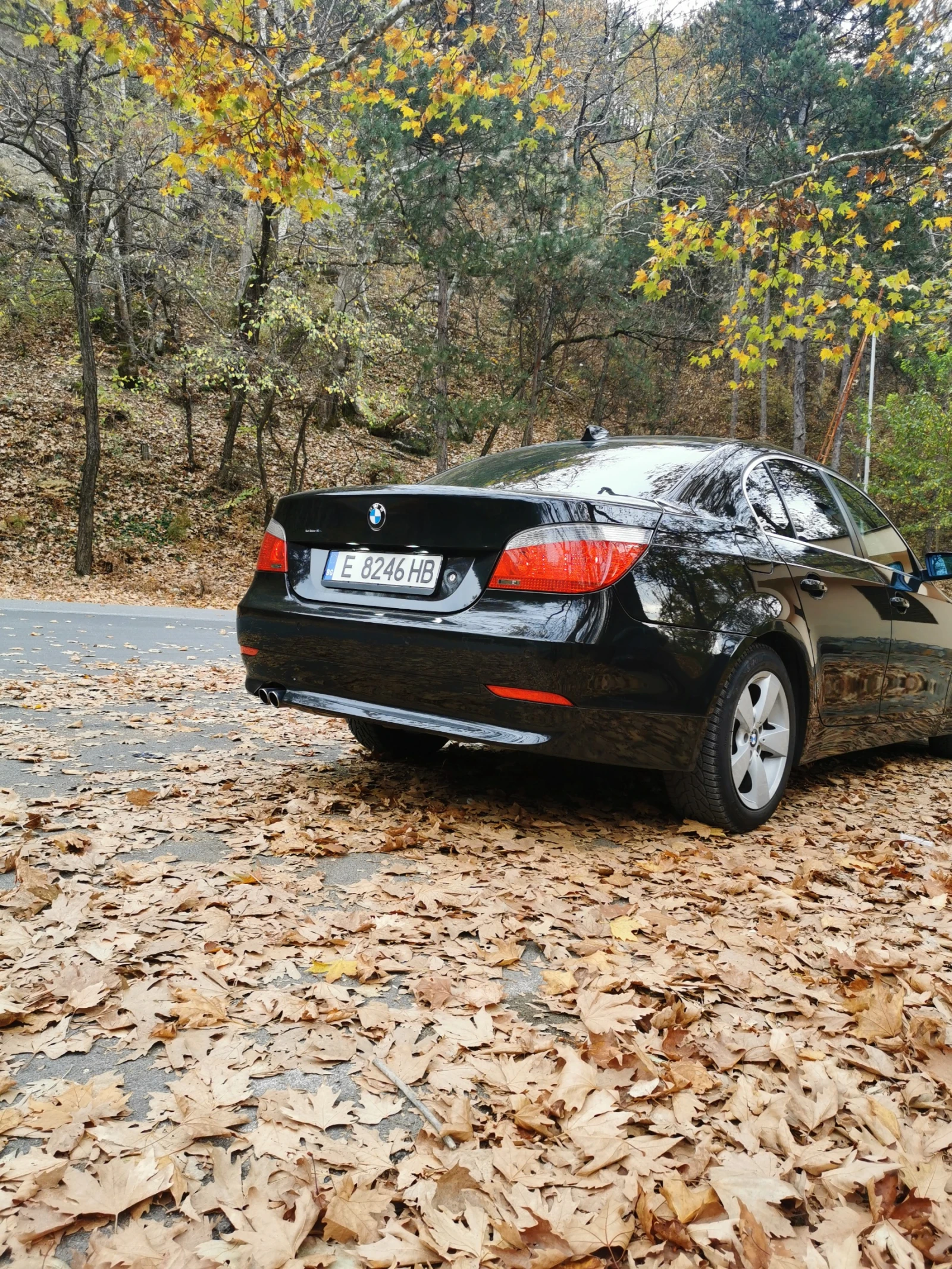 BMW 525 xi | Mobile.bg � ����������� 1