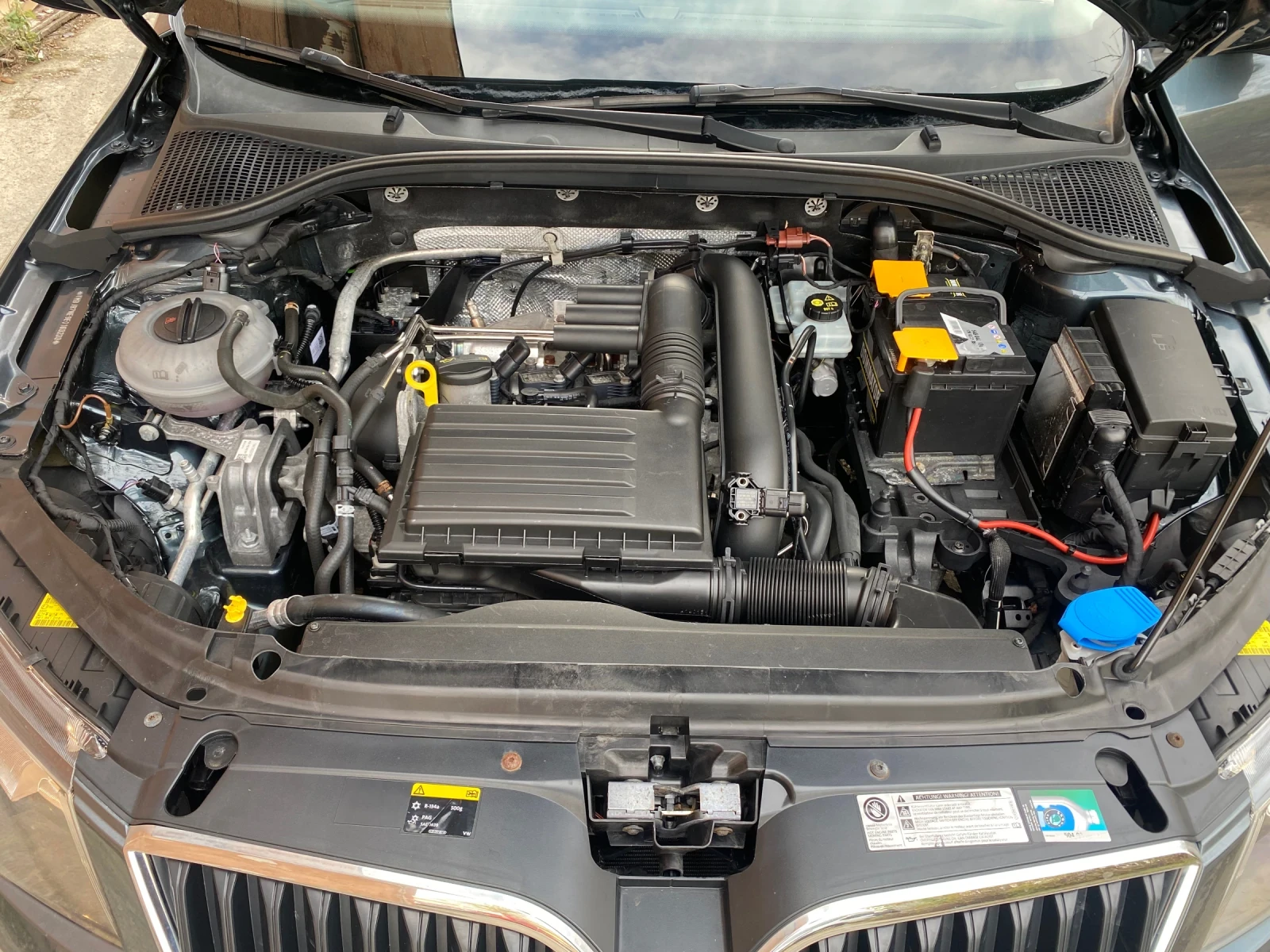 Skoda Octavia  80 .   | Mobile.bg   13