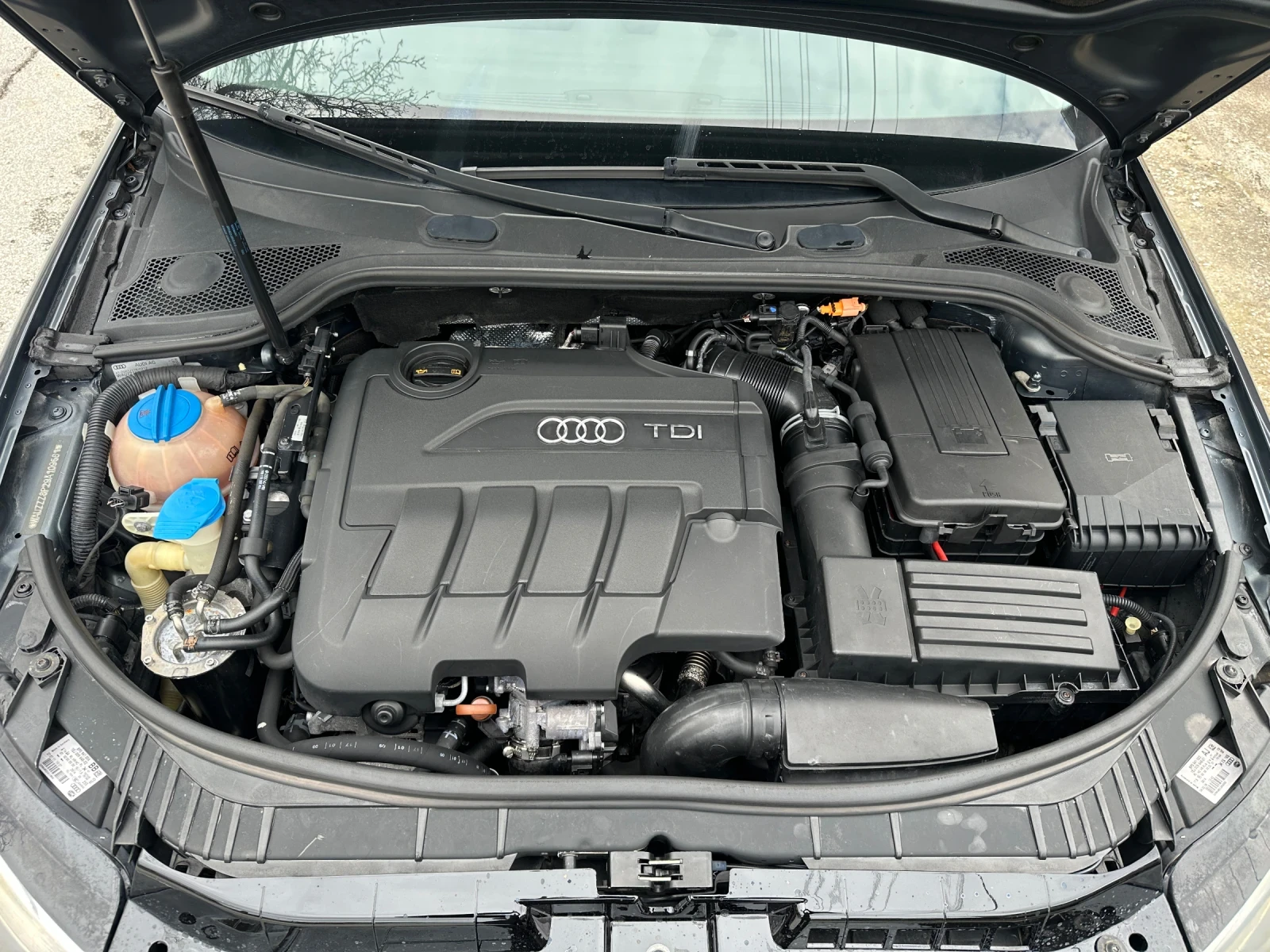 Audi A3 2.0TDI* * * FACE* * *  | Mobile.bg � ����������� 12