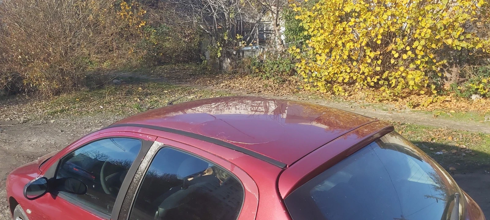 Peugeot 206 1.6i , 90к.с. - изображение 6