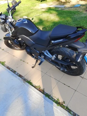 Sym Wolf SB250, снимка 1
