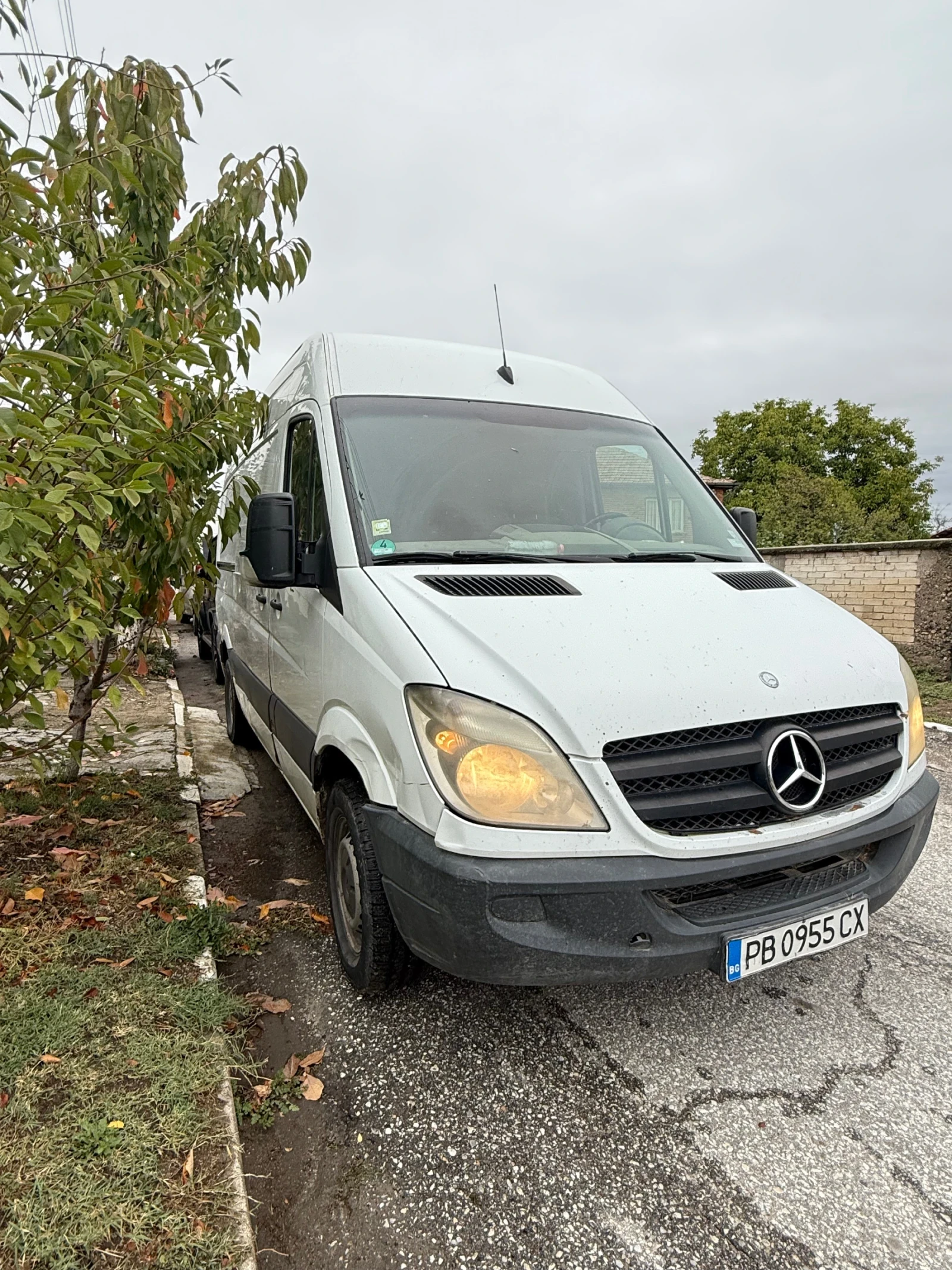 Mercedes-Benz 313  313    | Mobile.bg   2