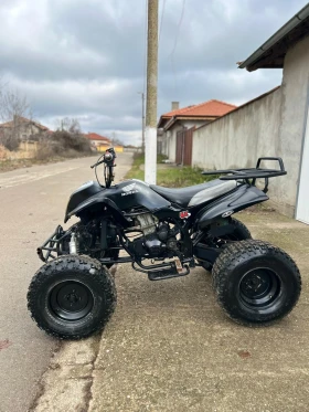 Shineray XY ATV 250cc, снимка 2