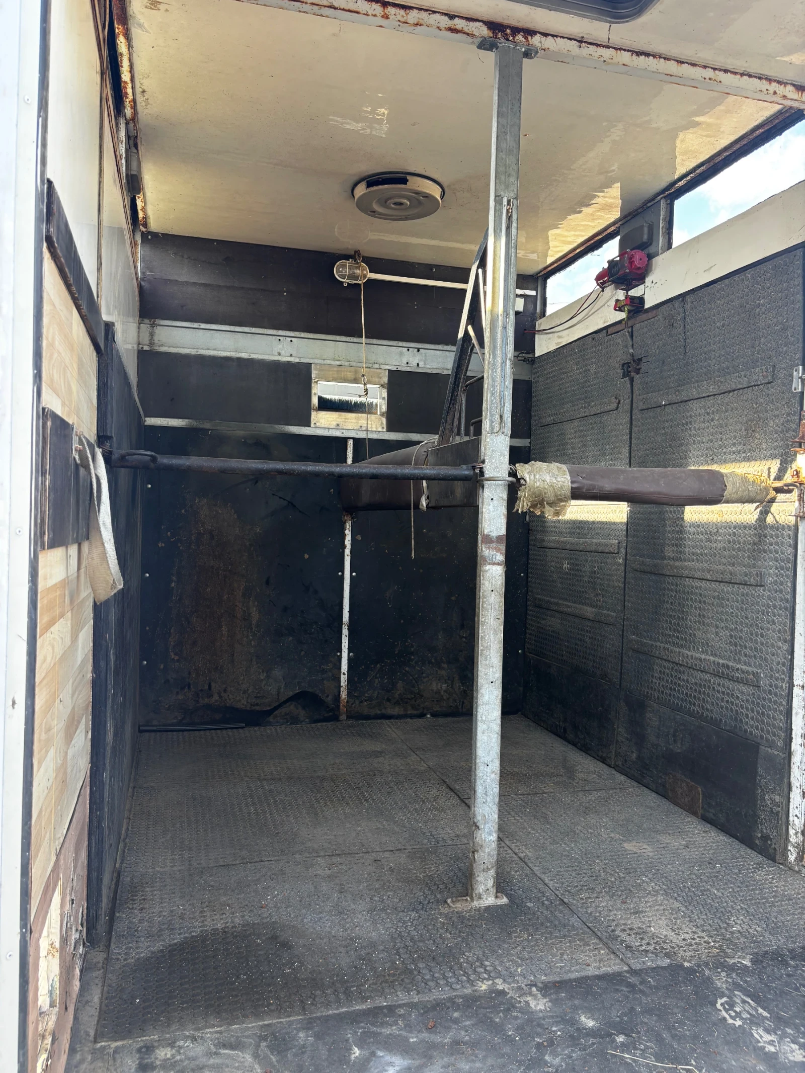 Iveco 3512 Животновоз, снимка 4 - Бусове и автобуси - 54113876