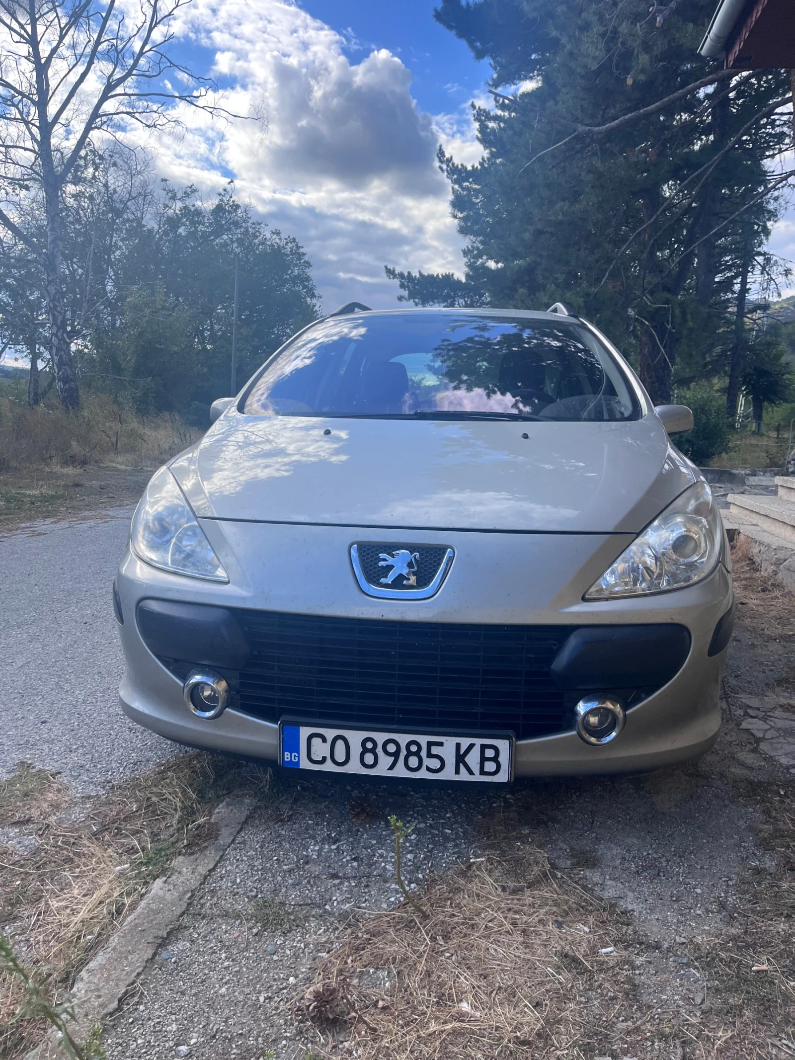 Peugeot 307