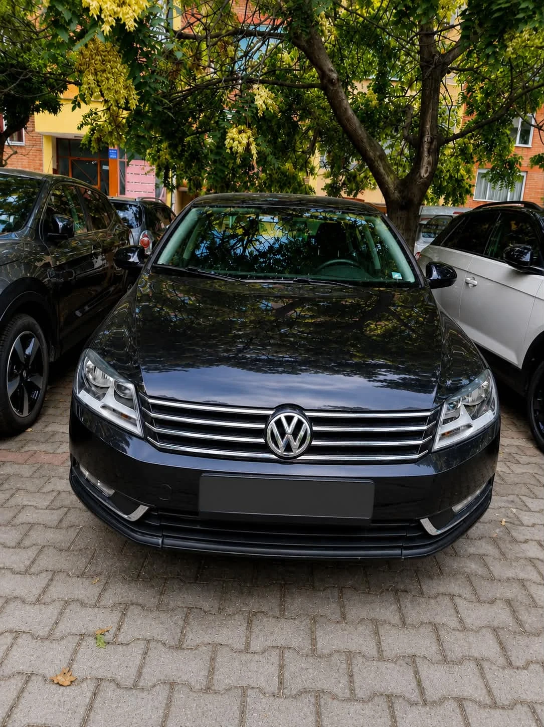 VW Passat