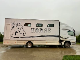 Mercedes-Benz Atego 817 Животновоз, снимка 5