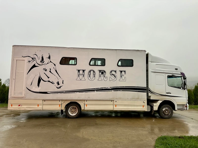 Mercedes-Benz Atego 817 Животновоз, снимка 5 - Камиони - 51790113