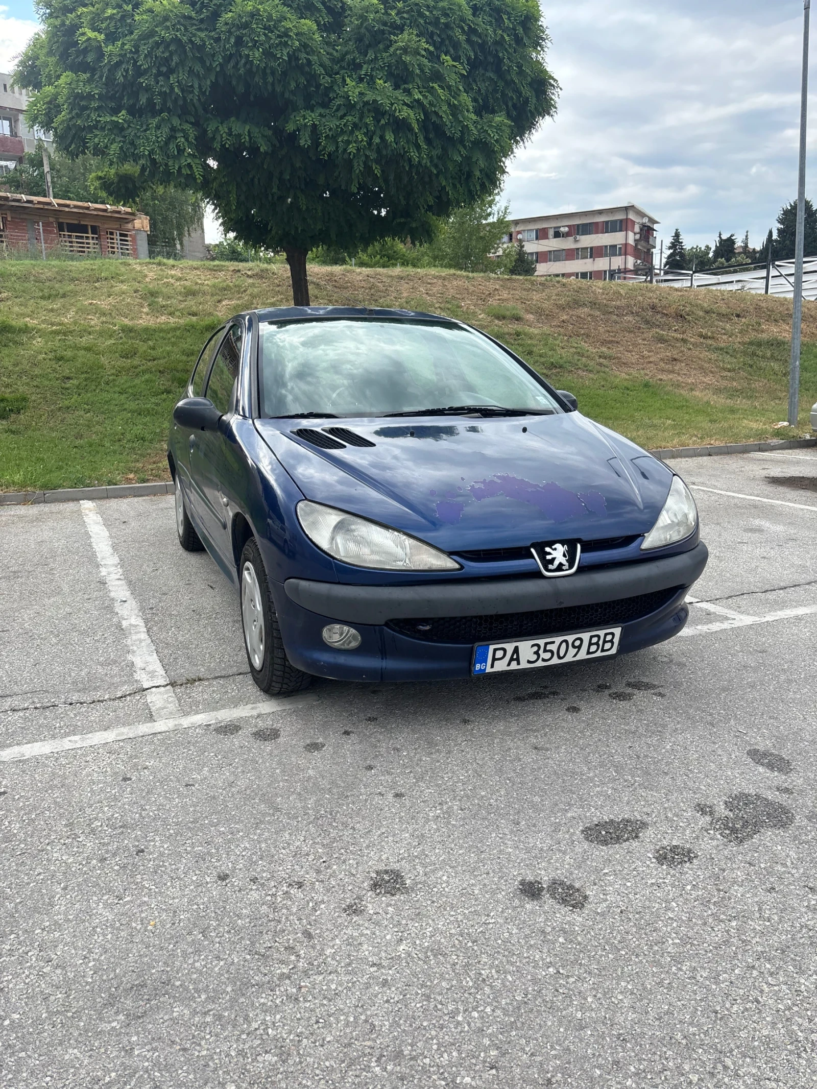 Peugeot 206