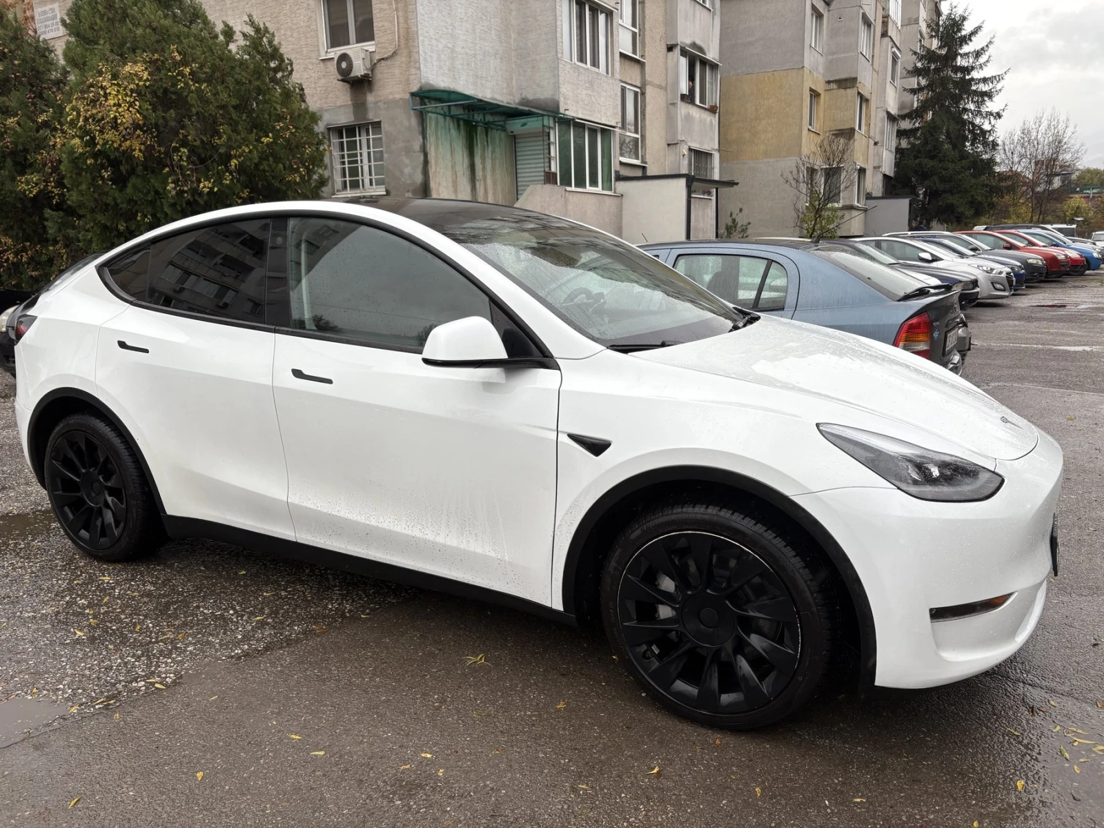 Tesla Model Y Long Range AWD, снимка 1
