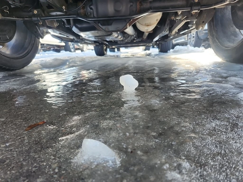 Dodge RAM 1500 * LIMITED CREW CAB SHORT BED * CARFAX * ��� ������ | Mobile.bg � ����������� 16