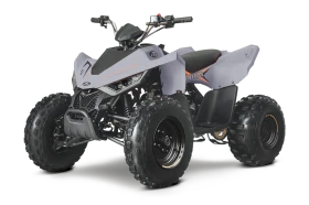 Linhai 150 110, снимка 3