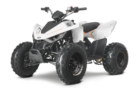 Linhai 150 110, снимка 2