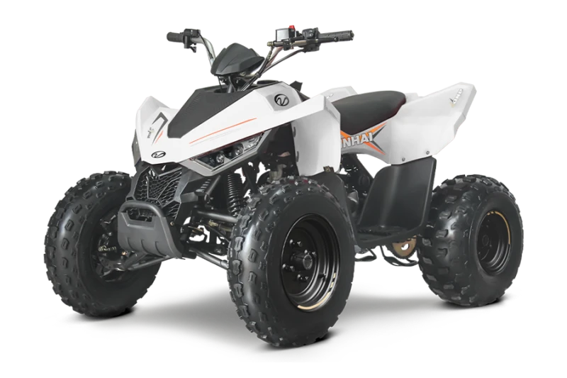 Linhai 150 110, снимка 2 - Мотоциклети и мототехника - 53238657