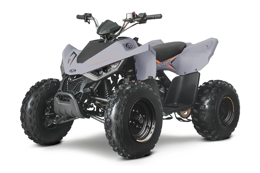 Linhai 150 110 - изображение 3