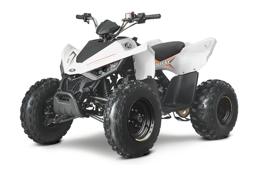 Linhai 150 110 - изображение 2