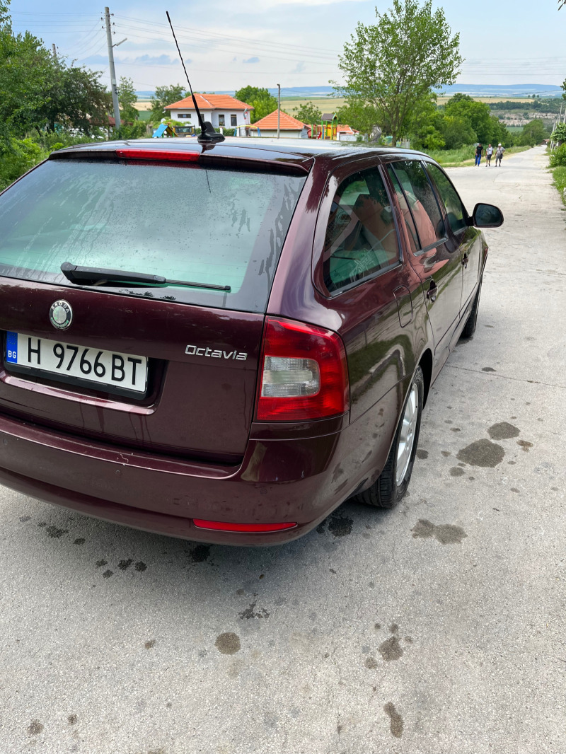 Skoda Octavia, снимка 4 - Автомобили и джипове - 46040522