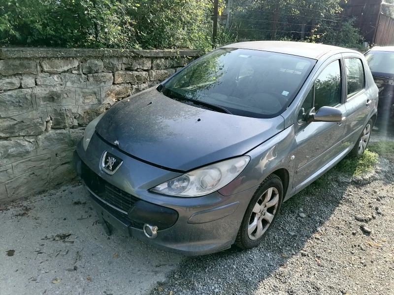 Peugeot 307 1.6, снимка 1 - Автомобили и джипове - 48344272