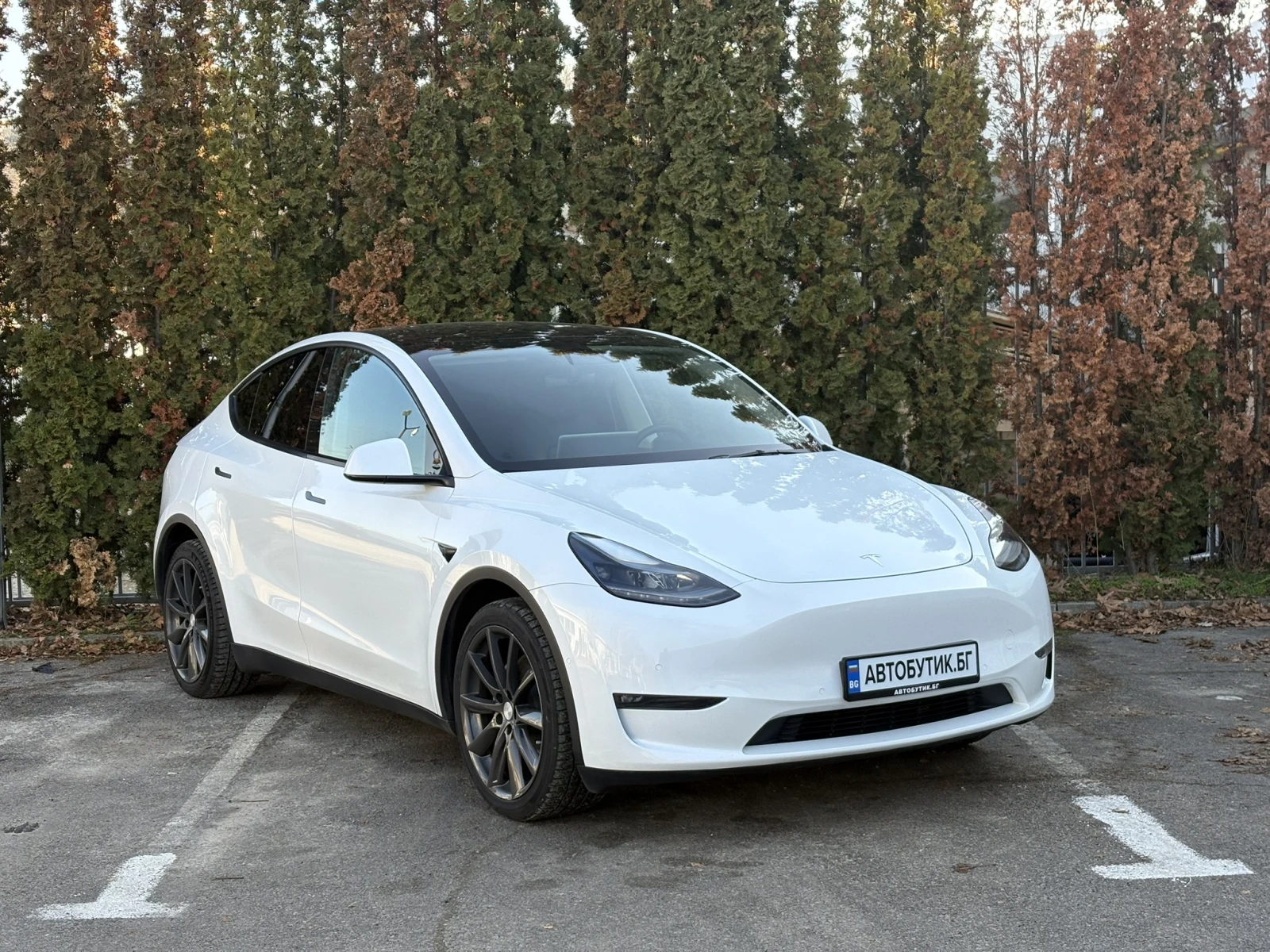 Tesla Model Y Long Range AWD, снимка 1