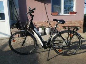      Sport SL Lite