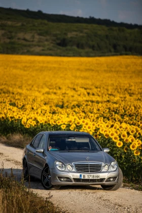 Mercedes-Benz E 500 5.0 | Mobile.bg    12