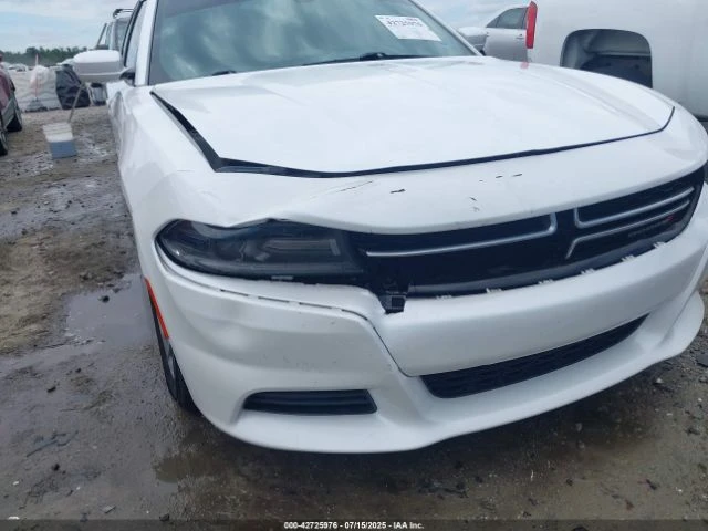 Dodge Charger SE - изображение 6