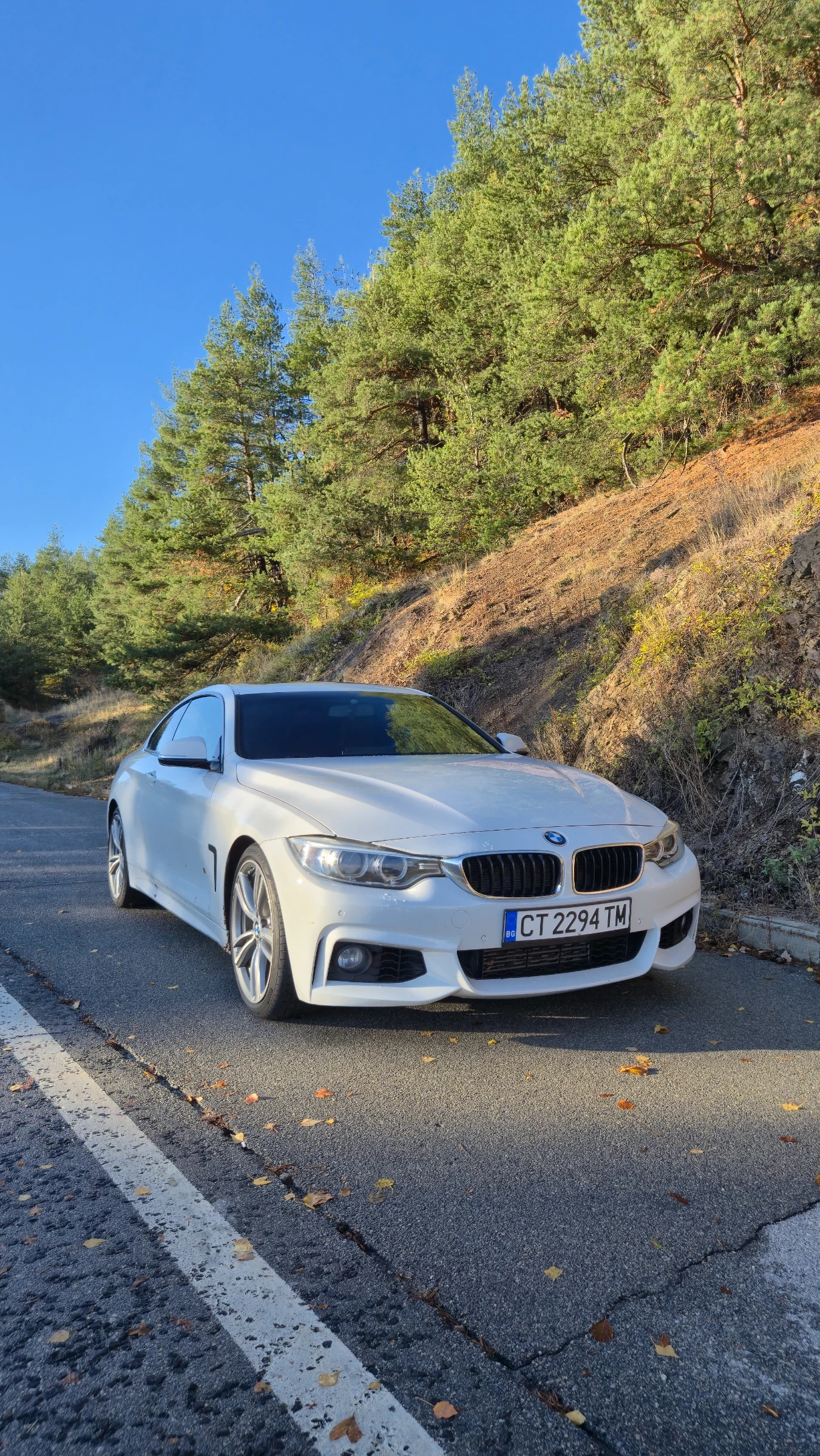 BMW 435 M Performance  | Mobile.bg � ����������� 1