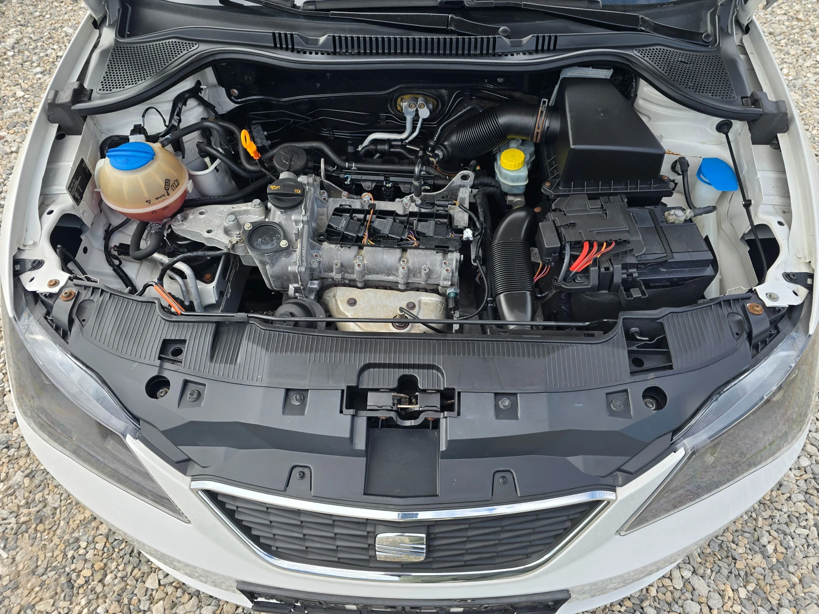 Seat Ibiza 1.2 БЕНЗИН ! ! РЕАЛНИ КИЛОМЕТРИ, снимка 15 - Автомобили и джипове - 54501347