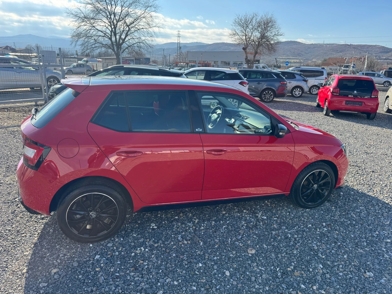 Skoda Fabia 1.4 TDI MONTE CARLO | Mobile.bg � ����������� 5