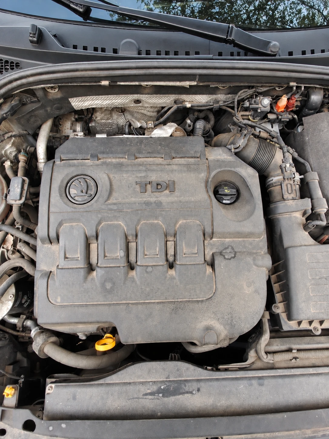 Skoda Octavia, снимка 17 - Автомобили и джипове - 56746461