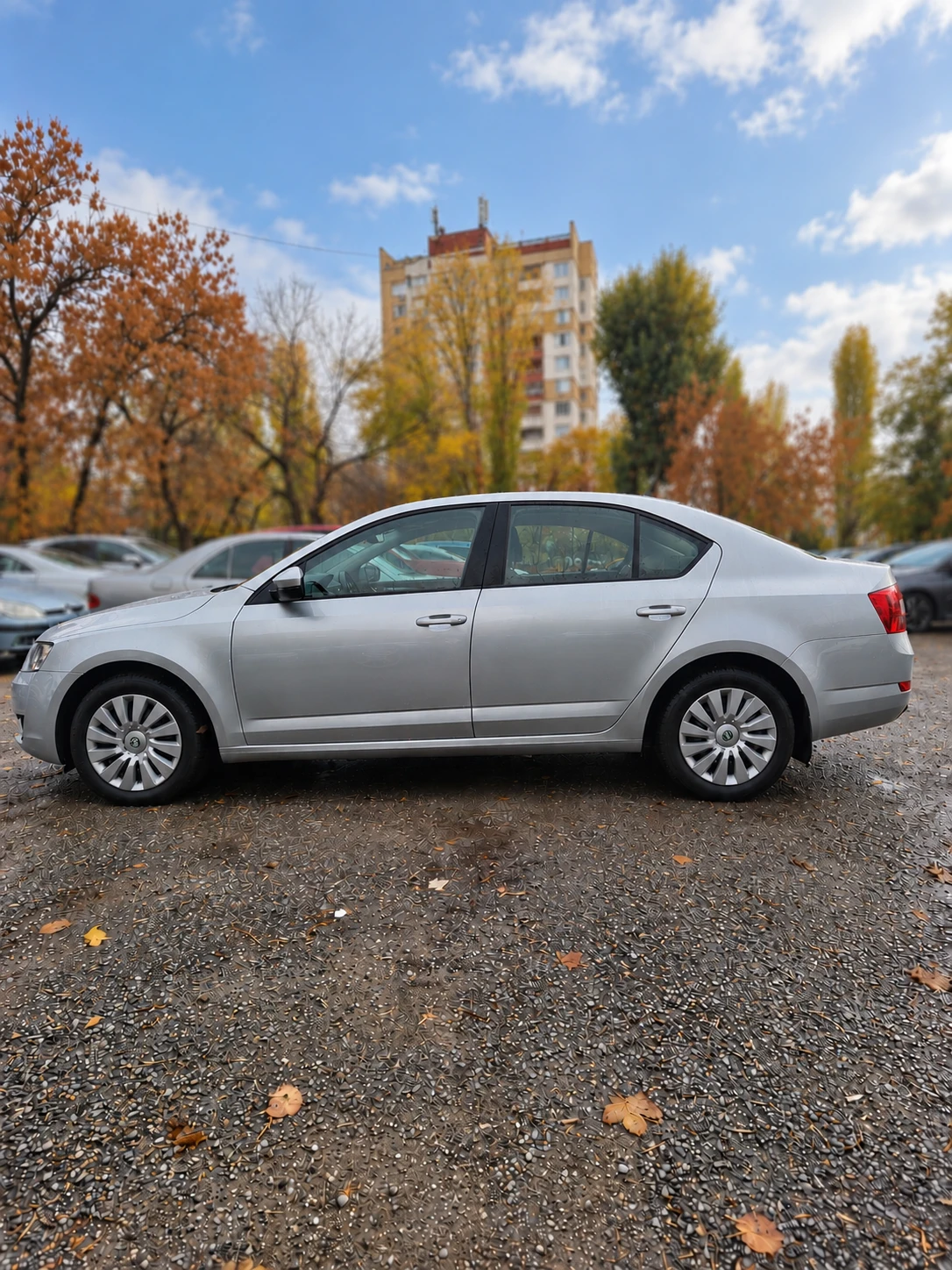 Skoda Octavia, снимка 8 - Автомобили и джипове - 56746461